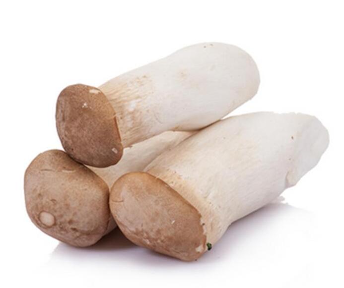 食用菌 (1).jpg 食用菌 (1).jpg